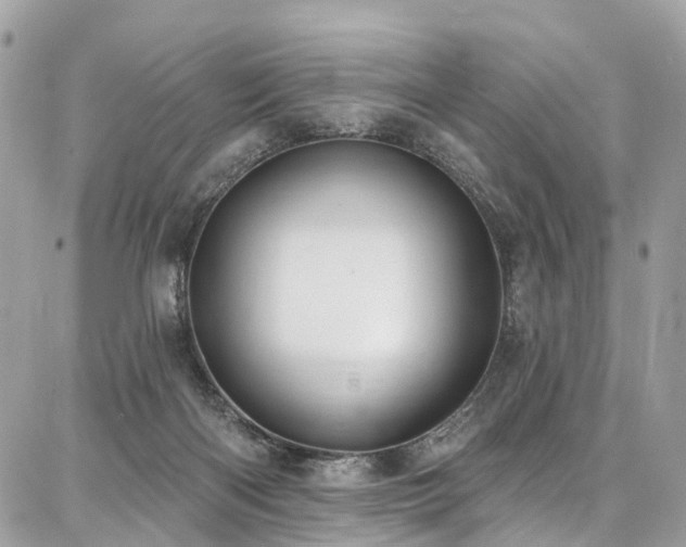 X0000086800122200704131315
