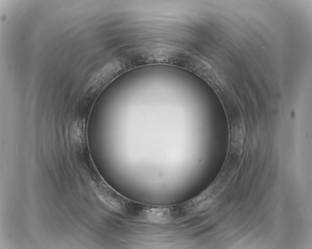 X0000086800126200704131315