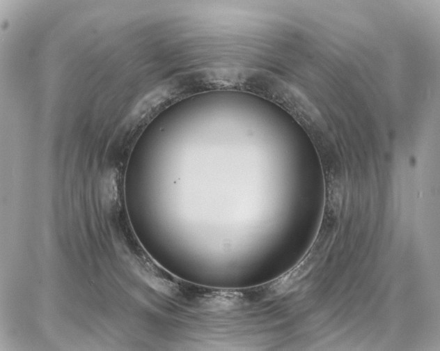 X0000086800128200704131315
