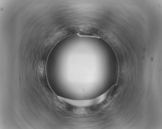 X0000086800129200704131315