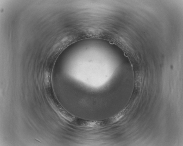 X0000086800130200704131315