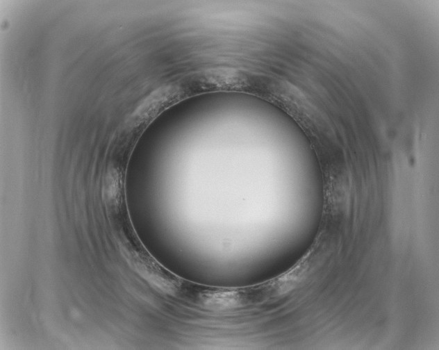 X0000086800132200704131315