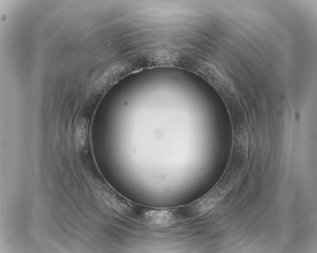 X0000086800133200704131315