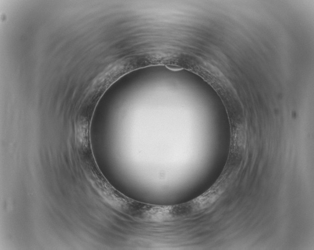 X0000086800138200704131315
