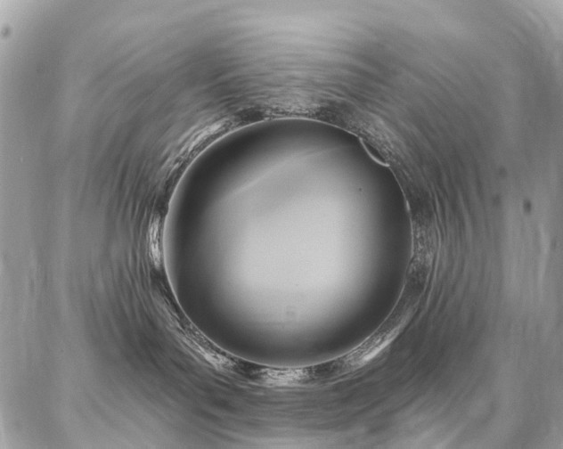 X0000086800143200704131315