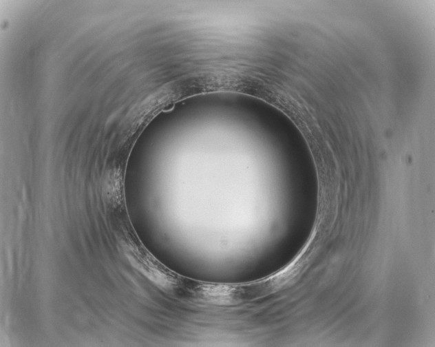 X0000086800144200704131315