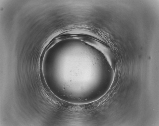 X0000086800148200704131314