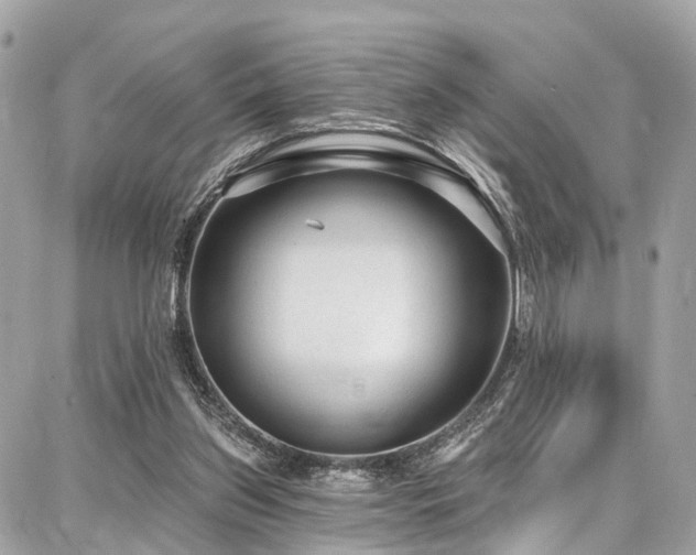 X0000086800157200704131314