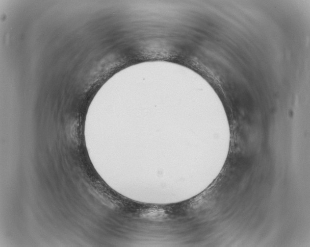 X0000086800162200704131315