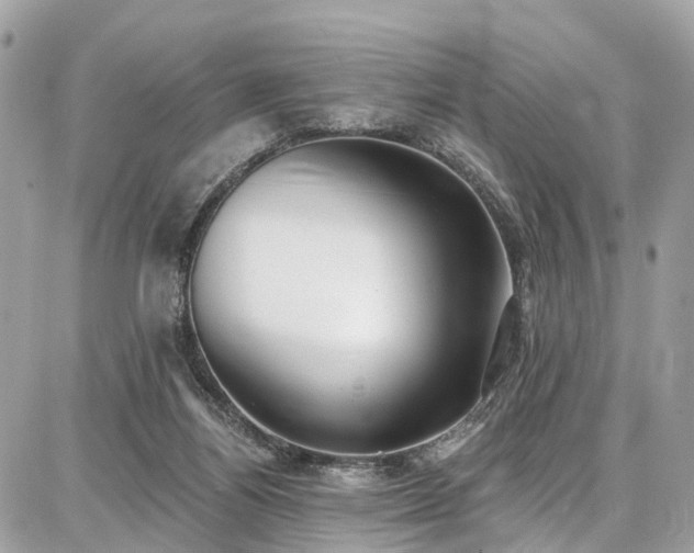 X0000086800164200704131315