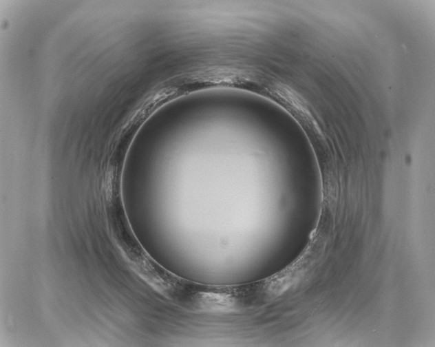 X0000086800167200704131315