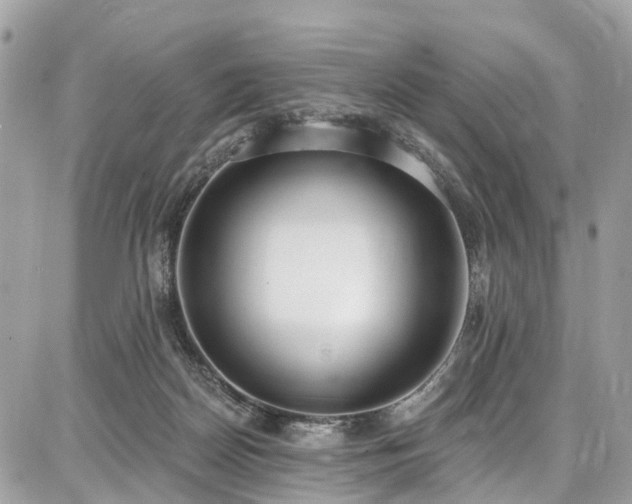 X0000086800170200704131315