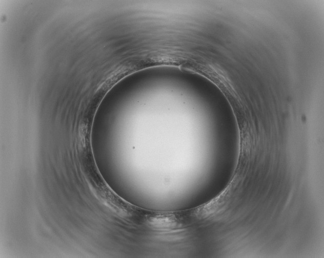 X0000086800171200704131315
