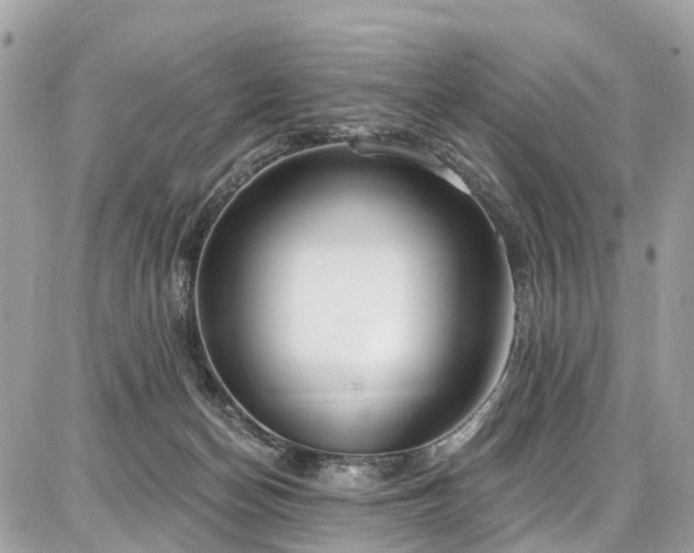 X0000086800174200704131315