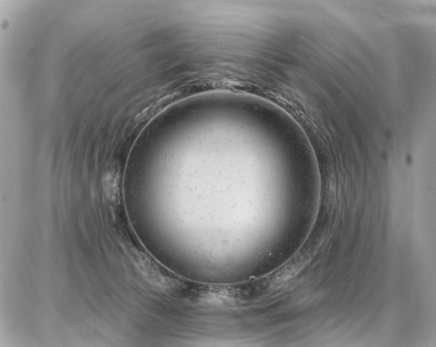 X0000086800177200704131315