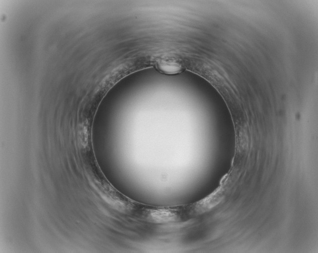 X0000086800183200704131315