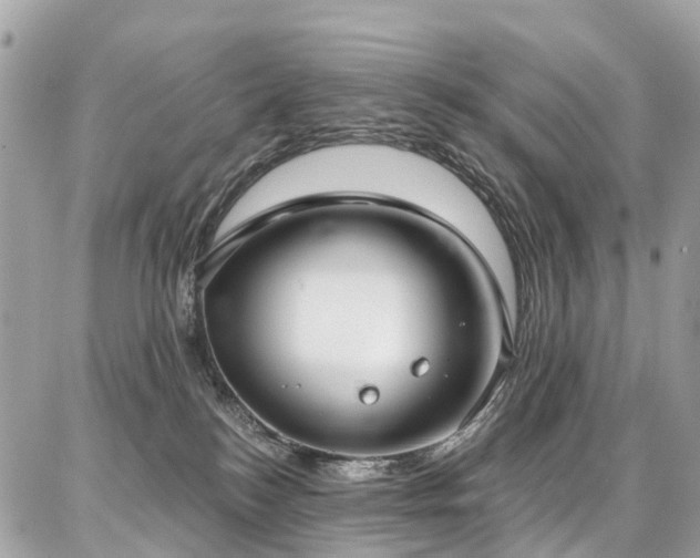 X0000086800184200704131315