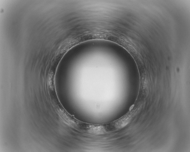 X0000086800185200704131315