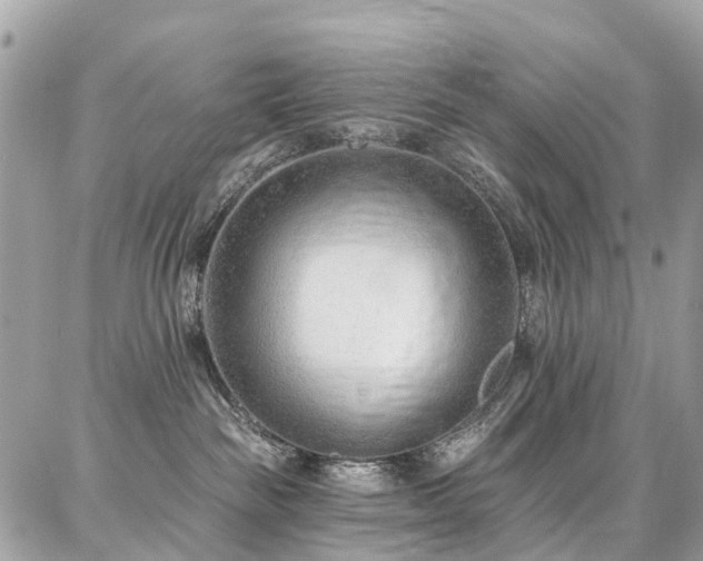 X0000086800189200704131315