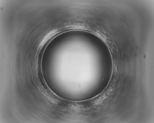 X0000086800199200704131314