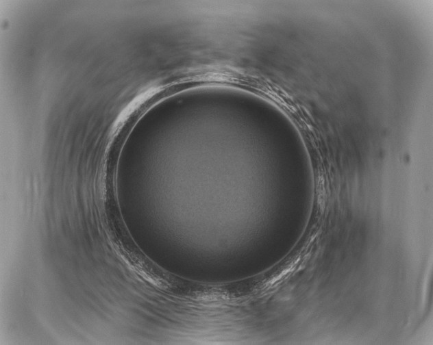 X0000086800200200704131314