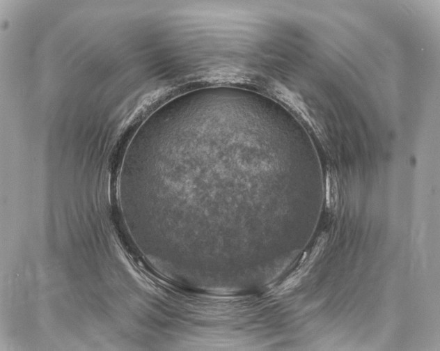 X0000086800205200704131314