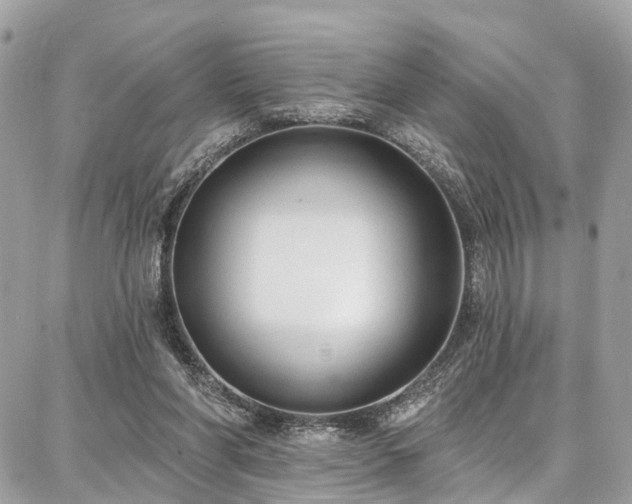 X0000086800206200704131314