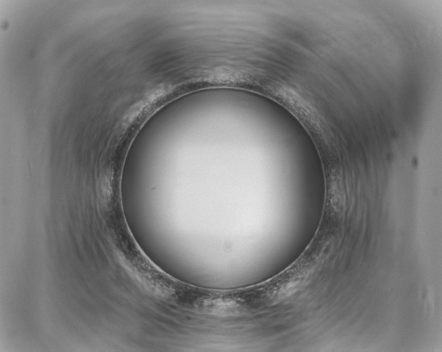 X0000086800208200704131314