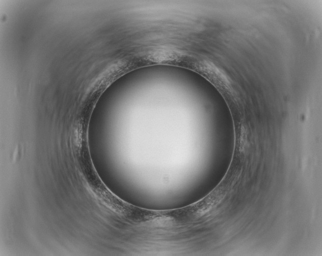 X0000086800210200704131314