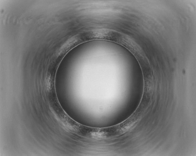 X0000086800216200704131314