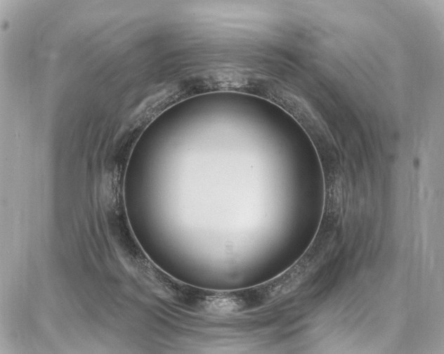 X0000086800218200704131314