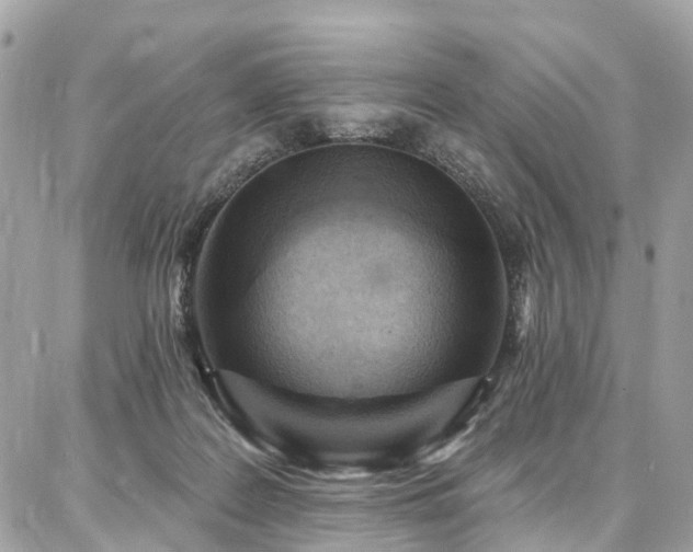 X0000086800219200704131314
