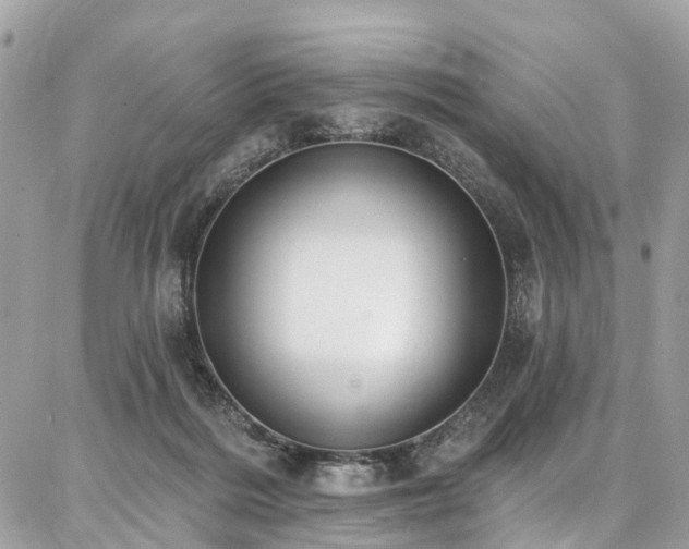 X0000086800220200704131314