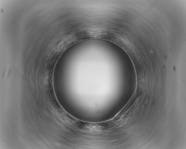X0000086800221200704131314