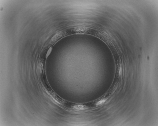 X0000086800227200704131314