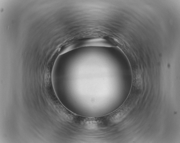 X0000086800228200704131314