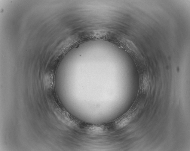 X0000086800236200704131314