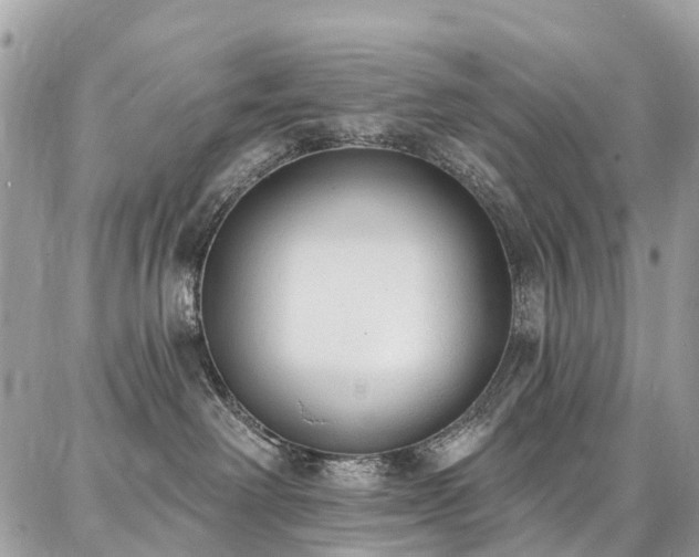 X0000086800238200704131314
