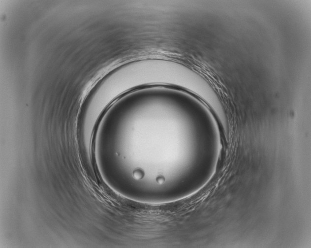 X0000086800244200704131313