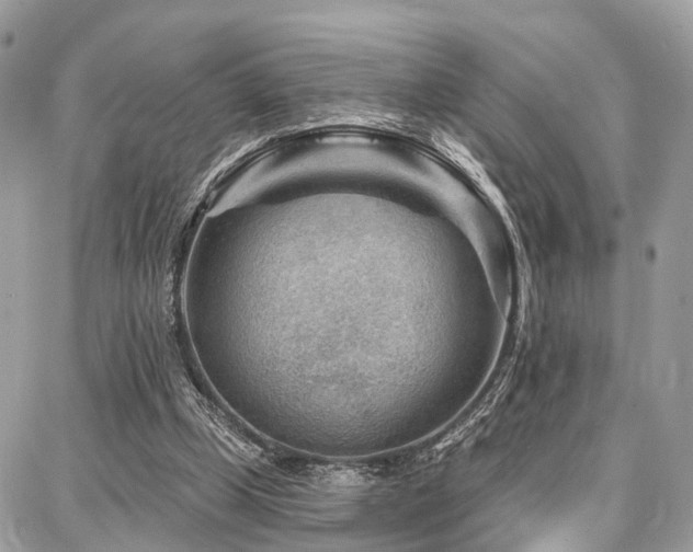 X0000086800249200704131313
