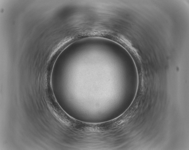 X0000086800250200704131313