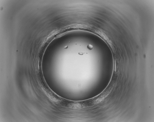 X0000086800253200704131313