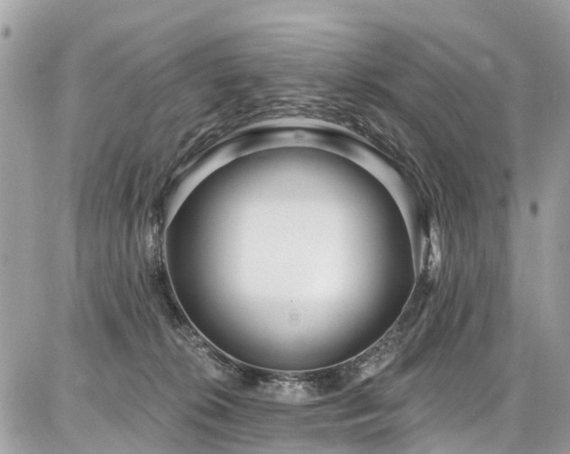 X0000086800276200704131313