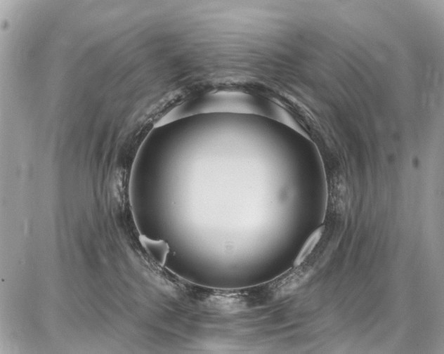 X0000086800280200704131313