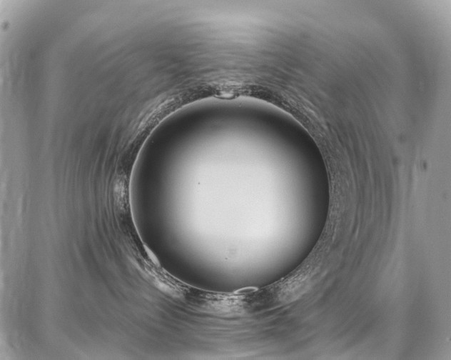 X0000086800288200704131313