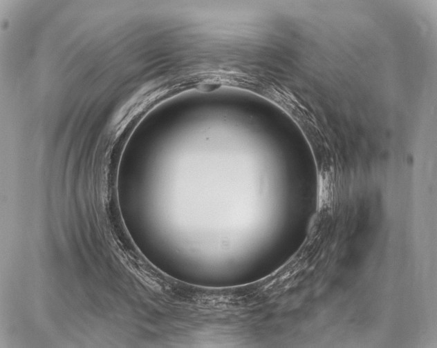 X0000086800291200704131313