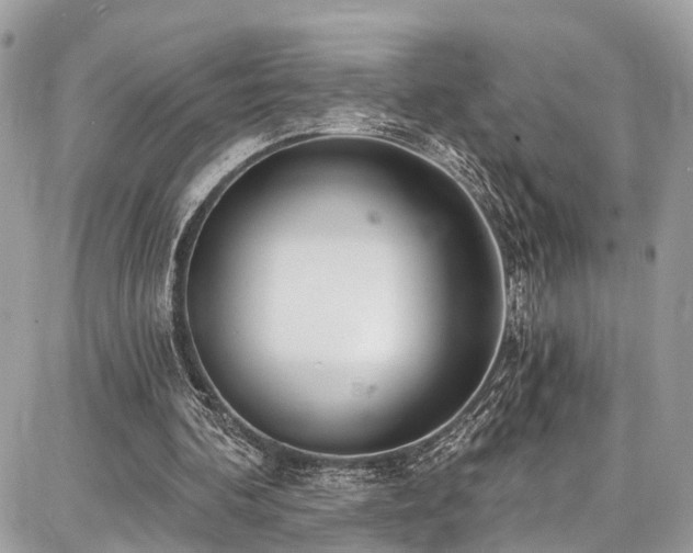 X0000086800292200704131313