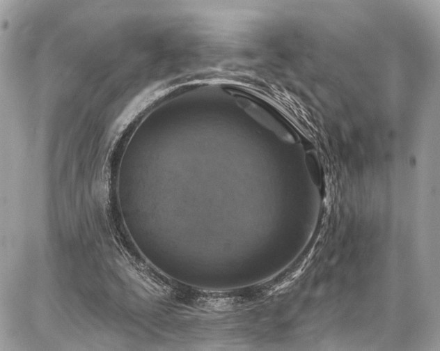 X0000086800295200704131313