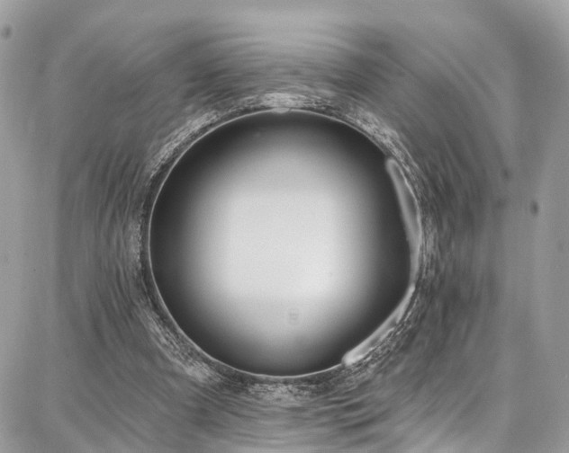 X0000086800297200704131313
