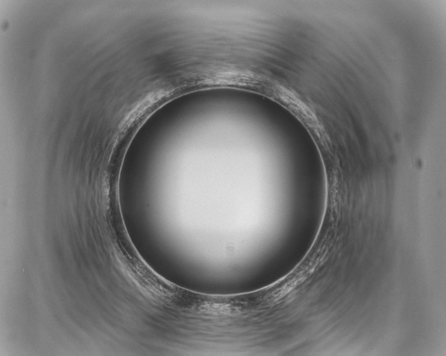 X0000086800298200704131313